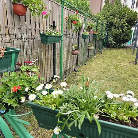 Guest house Casa Melisa 3*